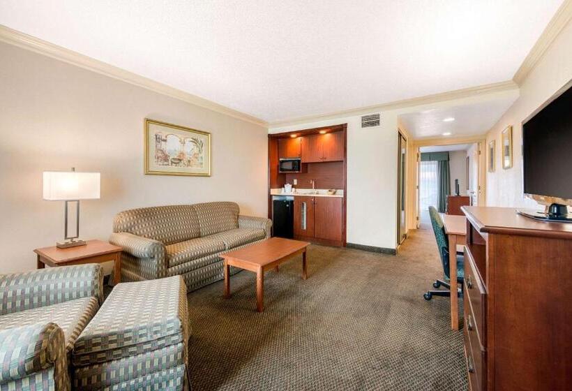 Люкс Кровать Кинг, Quality Inn & Suites Tarpon Springs South