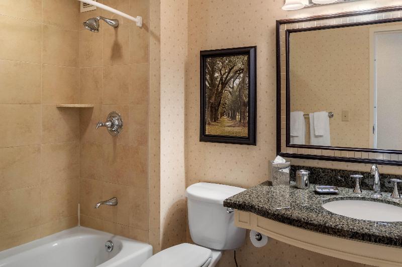 Номер Deluxe, Omni Atlanta Hotel At Centennial Park