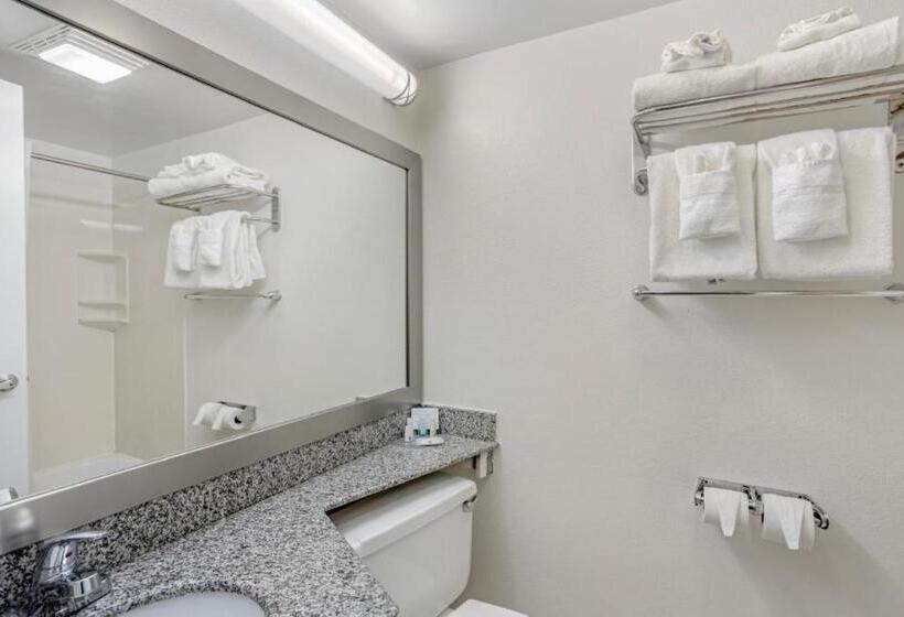 带2个双人床的标准工作室, Quality Inn Enola  Harrisburg