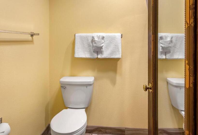 带大床的套房, Quality Inn Paradise Creek