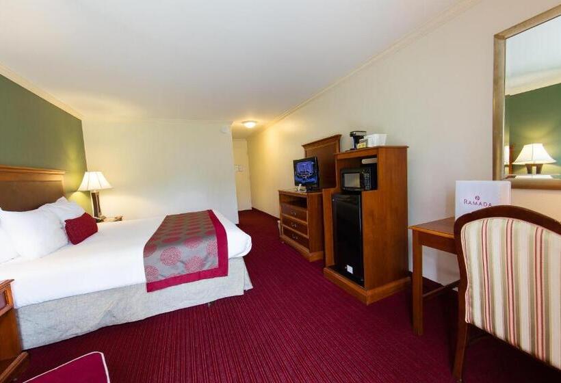 Habitació Estàndard Llit King Adaptada per a persones amb mobilitat reduïda, Ramada By Wyndham Houston Intercontinental Airport East