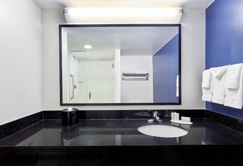 Suite, Fairfield Inn Suites Indianapolis Downtown