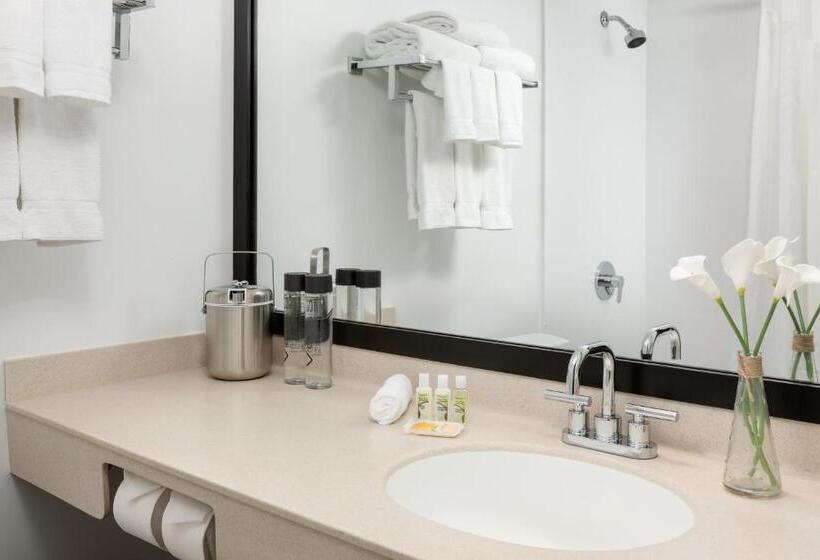 Номер Стандарт Адаптированный для Инвалидов, Studio Allston Hotel Boston
