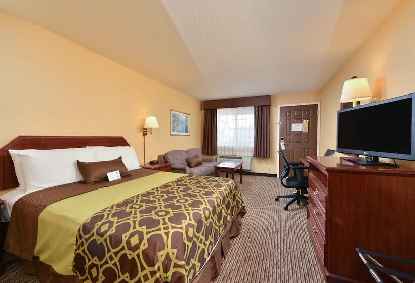 Standaardkamer met Tweepersoonsbed, Americas Best Value Inn San Jose Convention Center
