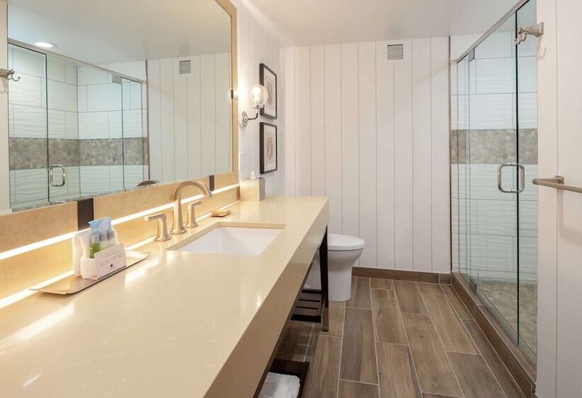 Номер Стандарт Двуспальная Кровать, Doubletree By Hilton Hotel Missoula   Edgewater