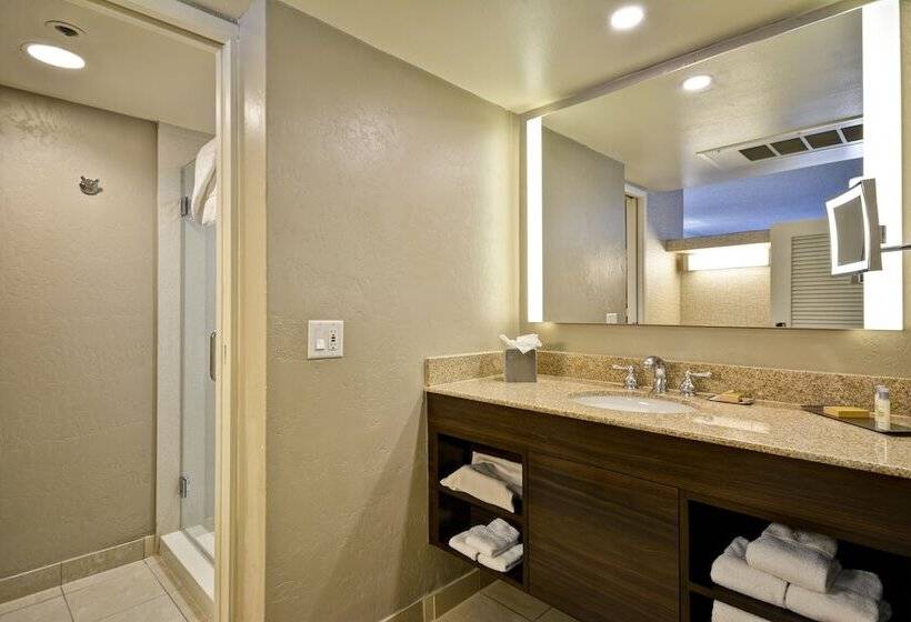 Полулюкс, Doubletree By Hilton Phoenix North