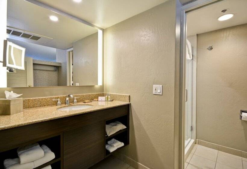 Полулюкс, Doubletree By Hilton Phoenix North