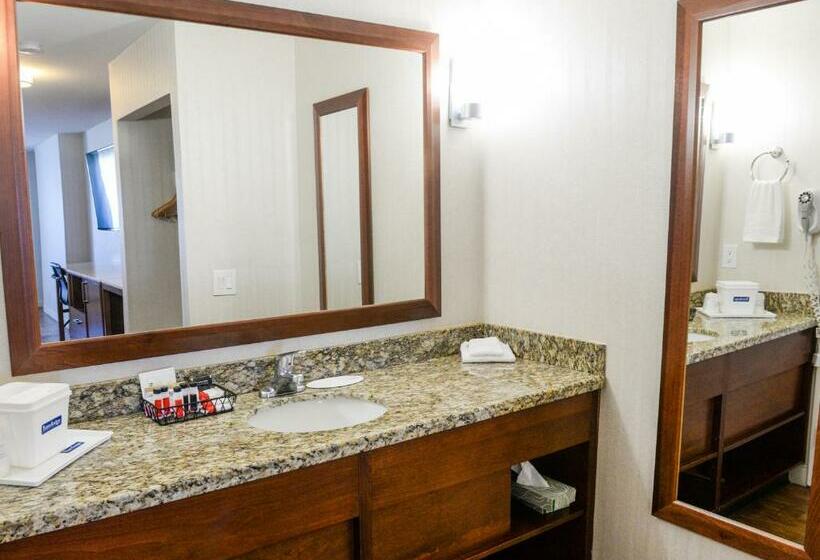带大床的标准间, Travelodge By Wyndham Culver City