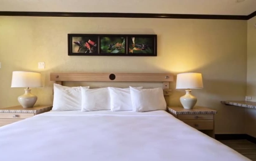 سوئیت اجرایی با چشم‌انداز دریا, Accra Beach Hotel & Spa
