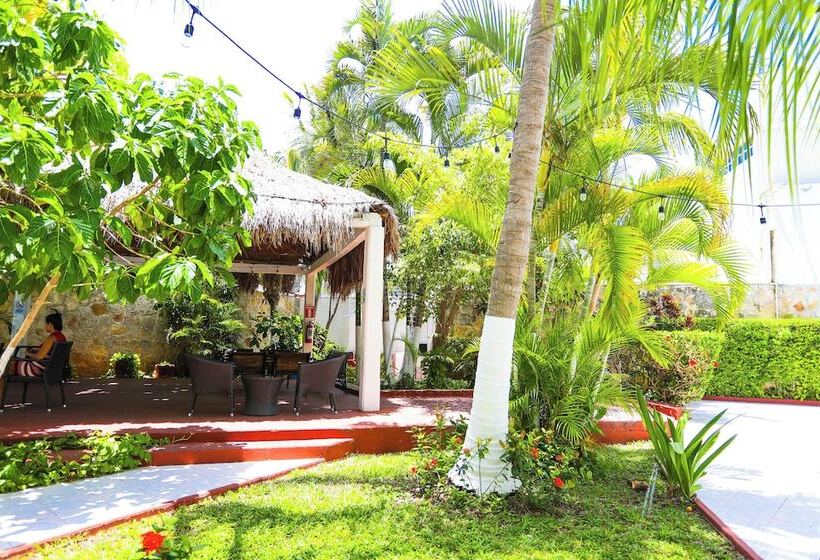 Cameră Superioară, Caribe Internacional Cancun