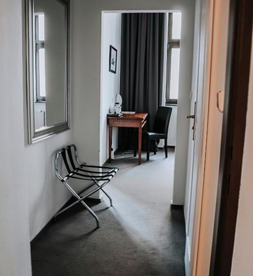 豪华单人间, B&b Hotel Praha