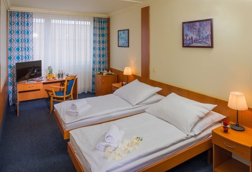 اتاق استاندارد, Top Hotel Praha