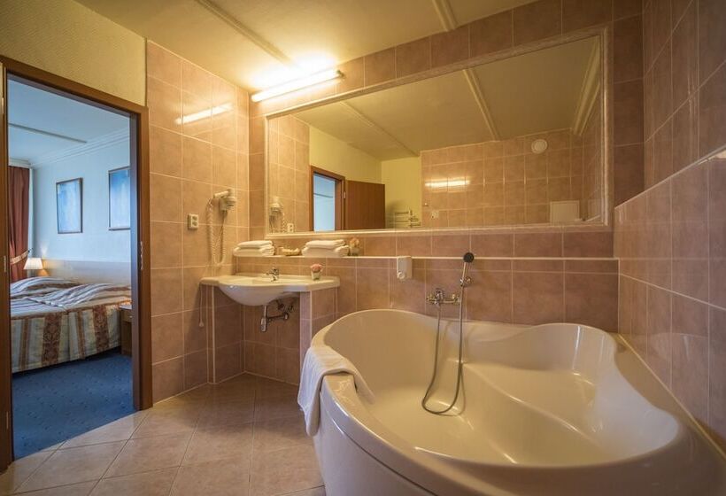 اتاق اجرایی, Top Hotel Praha