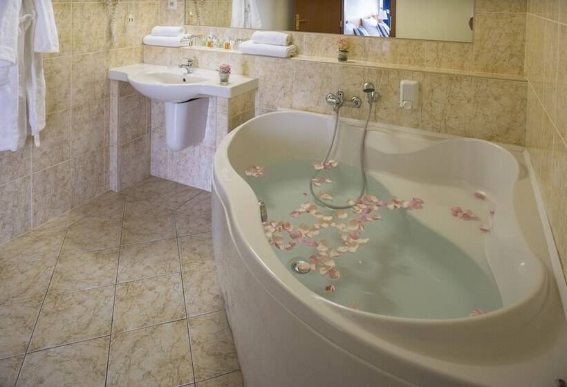 اتاق سوپریور, Top Hotel Praha