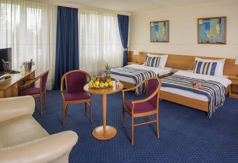 اتاق سوپریور, Top Hotel Praha