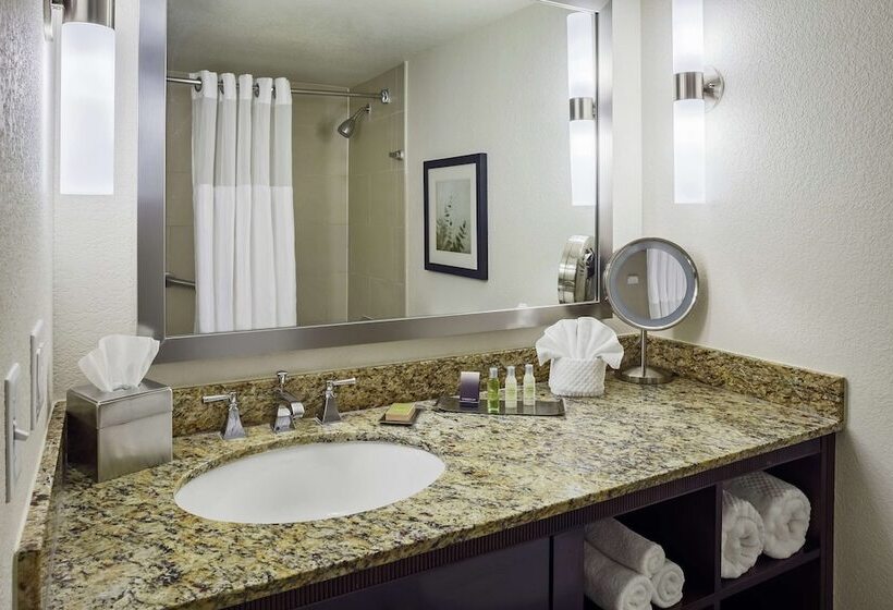 Полулюкс с Балконом, Doubletree By Hilton San Antonio Downtown