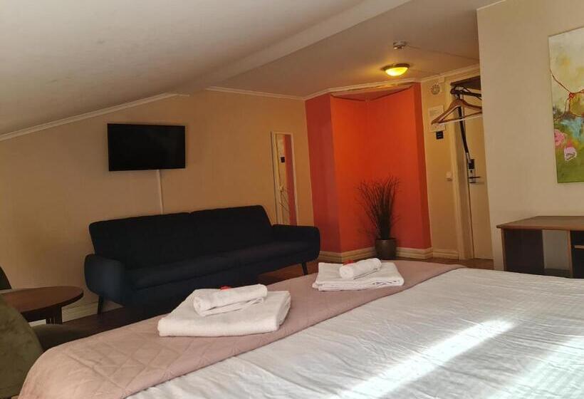 Номер Deluxe Кровать Кинг, Appelberg