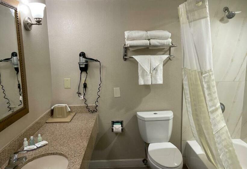 Стандартный Номер Кровать Кинг, Clarion Pointe Atlanta Airport College Park