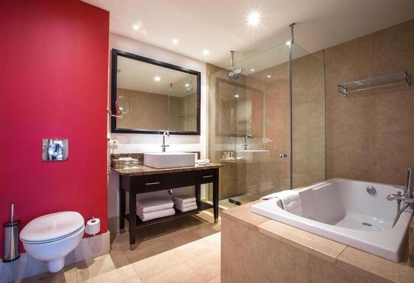 آپارتمان 1 خوابه, Radisson Blu Hotel, Antwerp City Centre