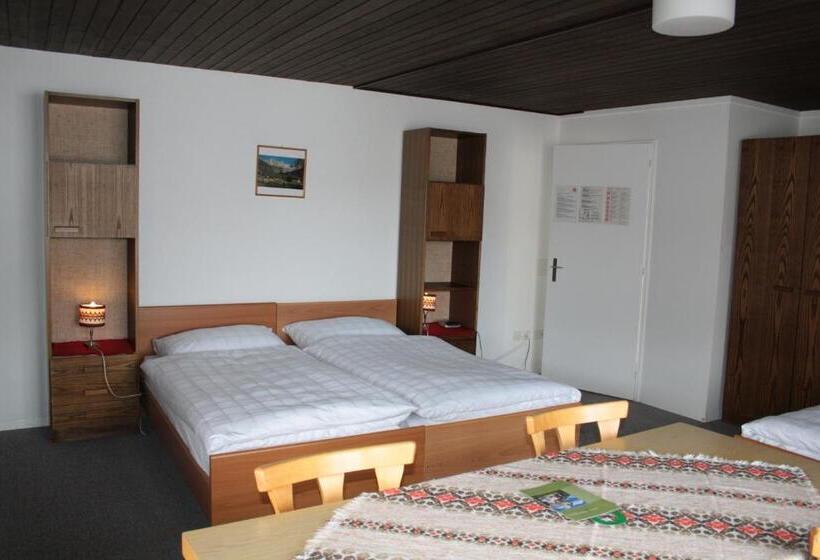 اتاق استاندارد چهارنفره با سرویس بهداشتی مشترک, Sonne St. Moritz 3 Superior