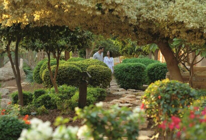اتاق لوکس با تخت بزرگ, Mövenpick Resort & Spa Dead Sea