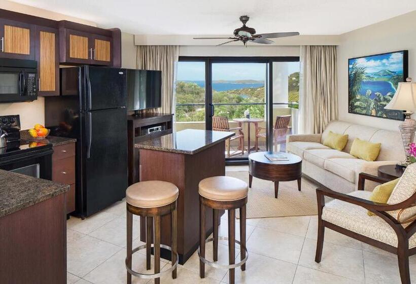 استودیو استاندارد با تخت کینگ, The Westin St. John Resort Villas