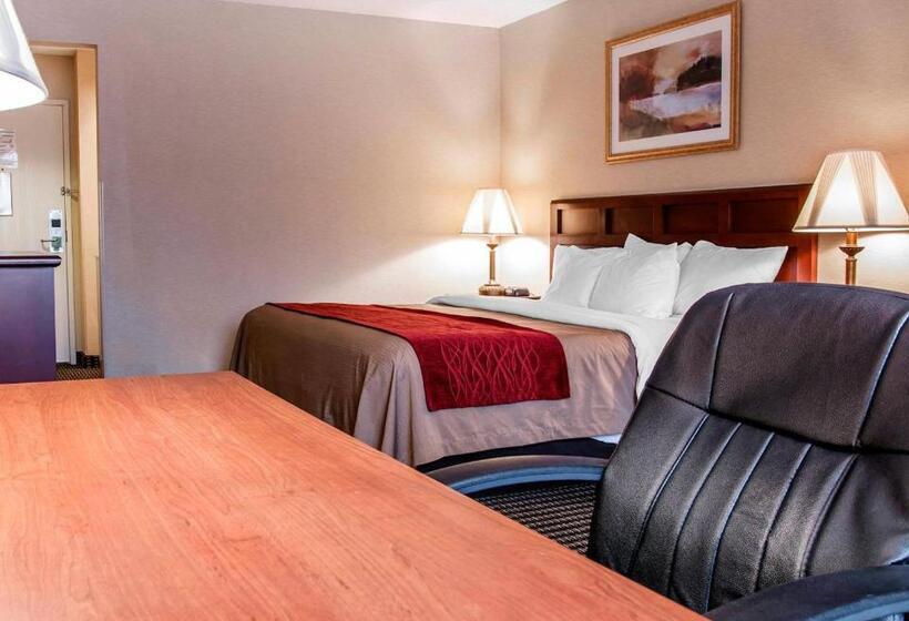 Стандартный Номер Кровать Кинг, Comfort Inn Livonia