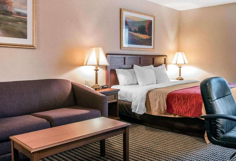 Стандартный Номер Кровать Кинг, Comfort Inn Livonia