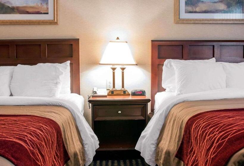 Номер Стандарт, Comfort Inn Livonia
