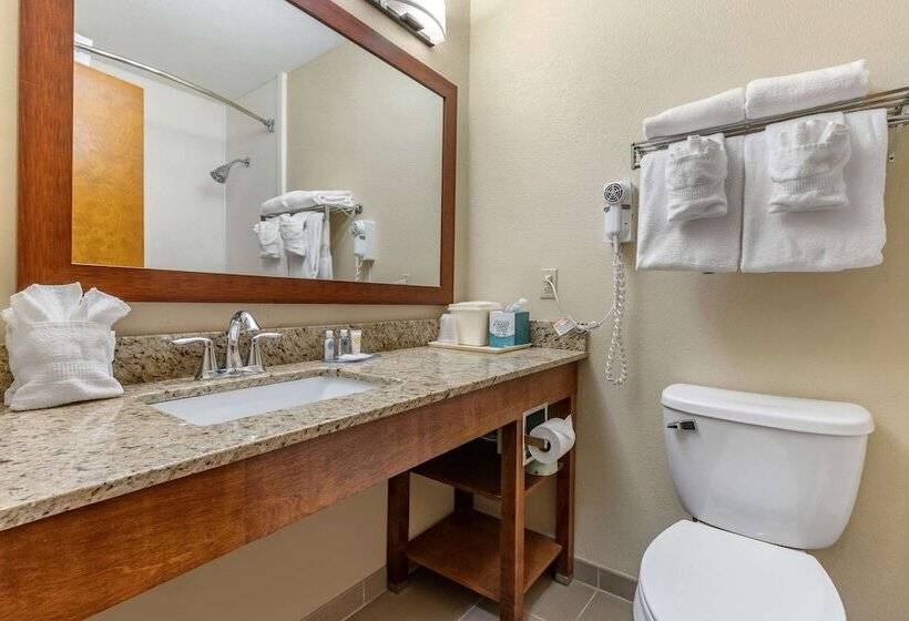 带2个双人床的标准工作室, Comfort Inn & Suites Clemson  University Area