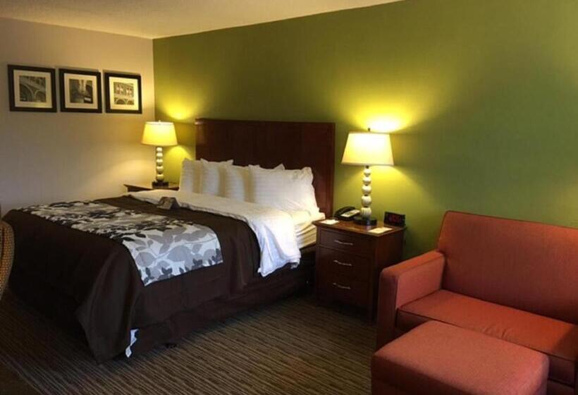 Стандартный Номер Кровать Кинг, Quality Inn Forsyth Near Ga Public Safety Training Center