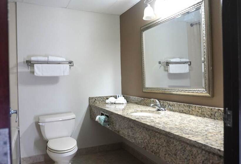 标准间, American Inn & Suites