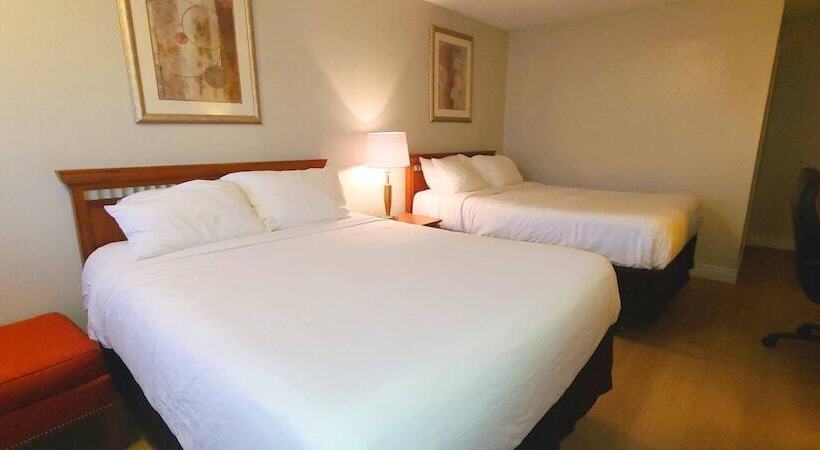비즈니스룸, Riviera Inn And Suites 1000 Islands