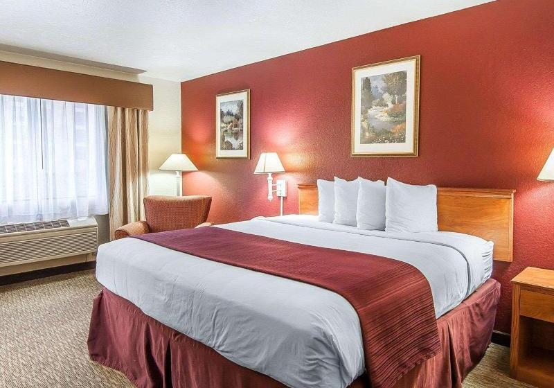 스탠다드 룸 킹사이즈 침대, Quality Inn Downtown Convention Center
