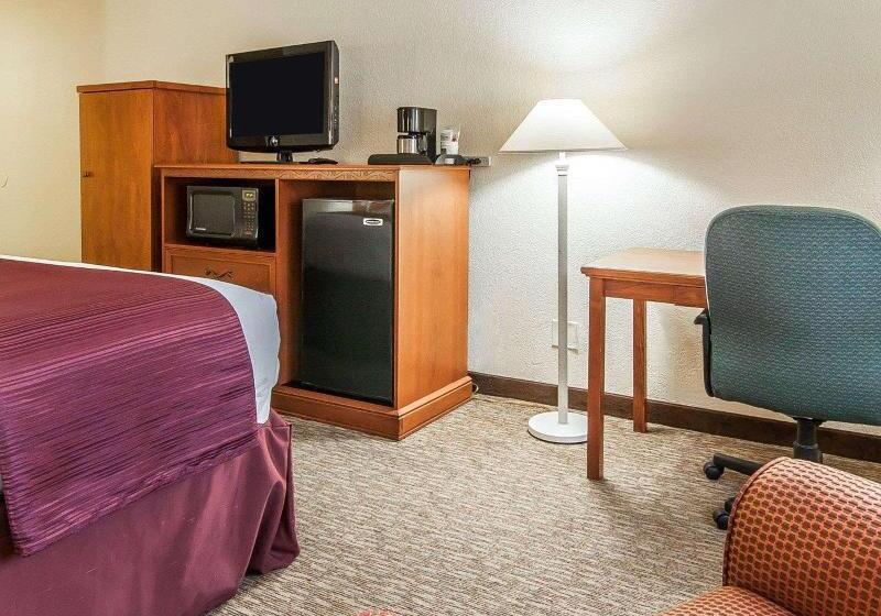 스탠다드 룸 킹사이즈 침대, Quality Inn Downtown Convention Center