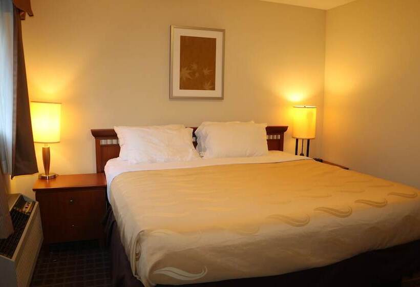 비즈니스룸, Riviera Inn And Suites 1000 Islands