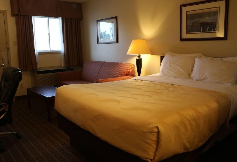 비즈니스룸, Riviera Inn And Suites 1000 Islands