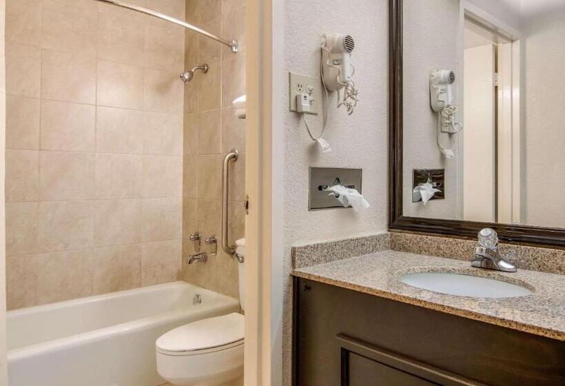 스탠다드 룸 킹사이즈 침대, Quality Inn Suwanee I85