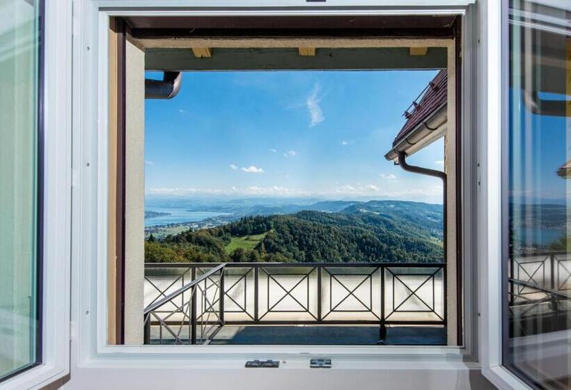 스탠다드 룸 산 전망, Uto Kulm Car Free Hideaway In Zurich