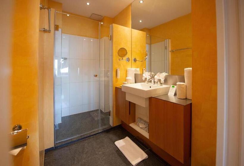 스탠다드 룸, Uto Kulm Car Free Hideaway In Zurich