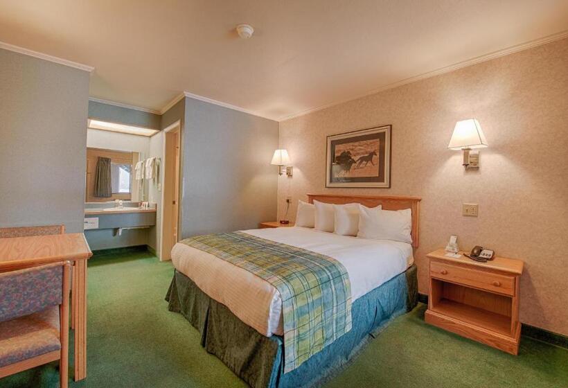 Номер Стандарт, Brandin  Iron Inn