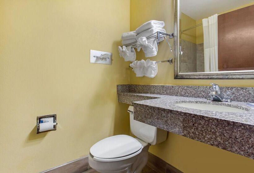 스탠다드 룸 더블 침대 2개, Quality Inn Williamston