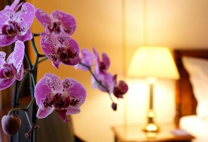 Junior Suite, Le Plaza Brussels
