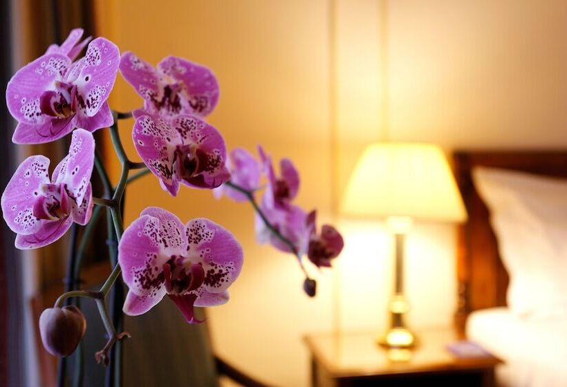 Habitación Deluxe, Le Plaza Brussels