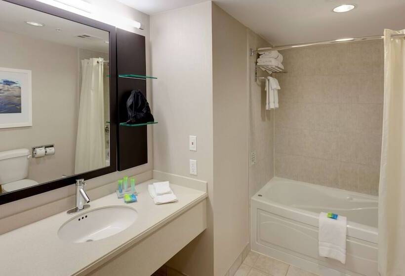 חדר סטנדרט מיטה זוגית, Radisson Hotel & Suites Fallsview