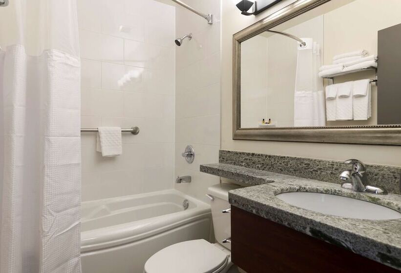 ２ダブルベッドのスタンダードルーム, Best Western Plus Chocolate Lake Hotel   Halifax