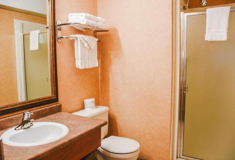 Студио Стандарт Кровать Кинг, Stony Plain Inn & Suites
