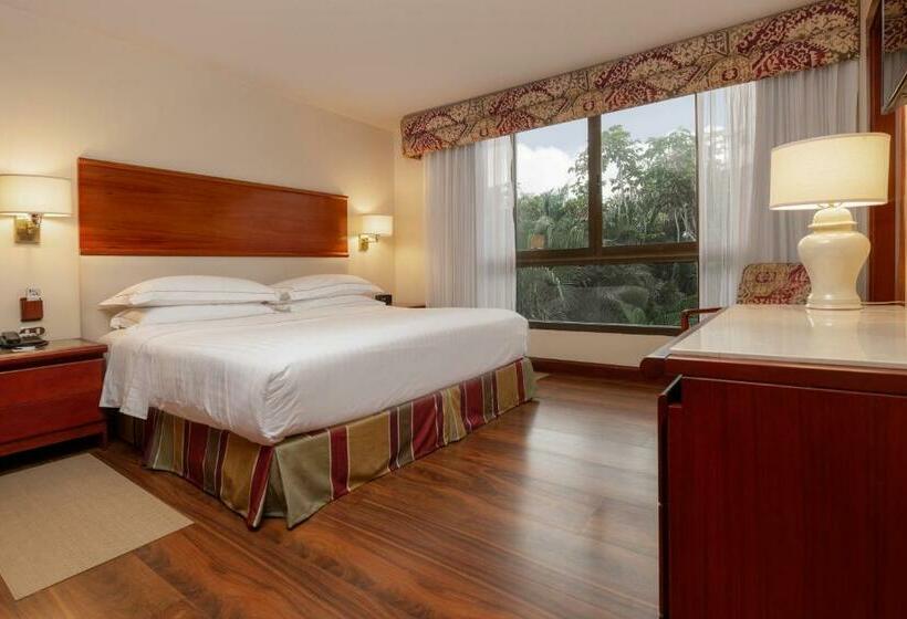 프리미엄 스위트, Barceló San José