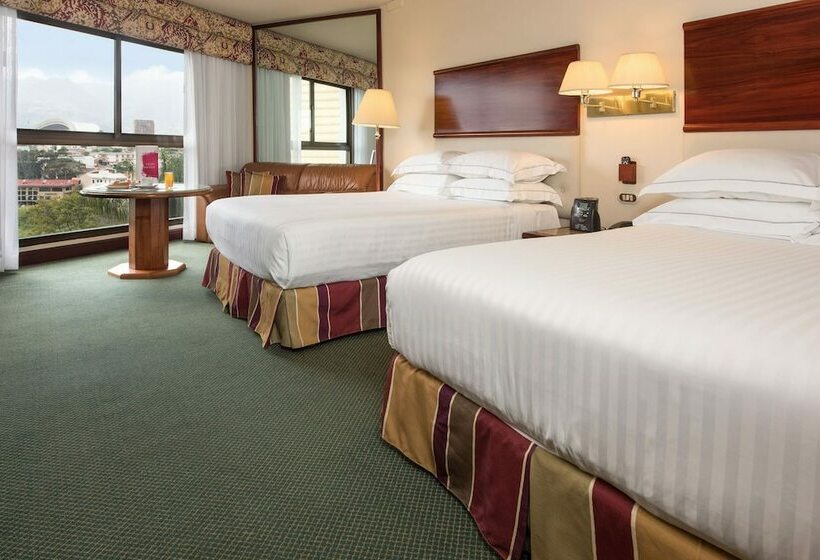 수피리어 룸, Barceló San José