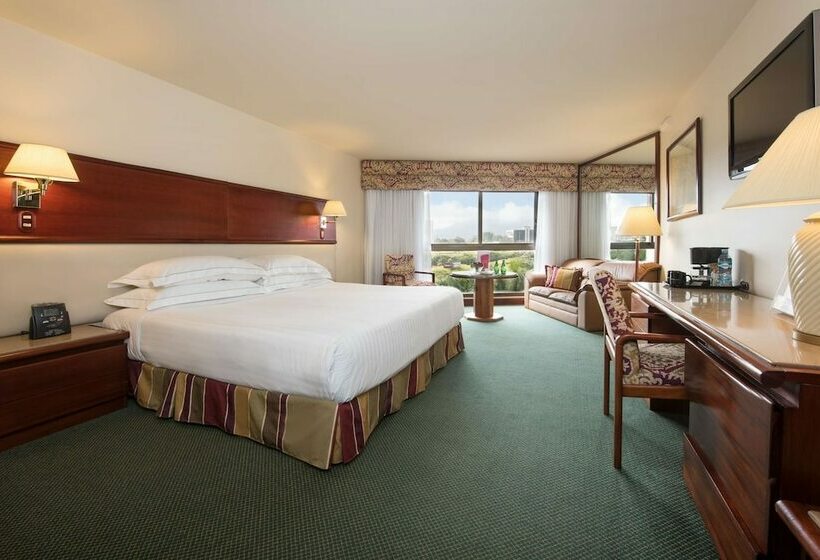 수피리어 룸, Barceló San José
